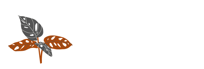 Hotel Casa La Bonita